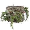 CANDLE HOLDER GLASS 5″ FROSTED TWIG & PINE