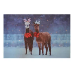 CANVAS 16″X12″ 40 FIBERS 2 LLAMA W/TIMER