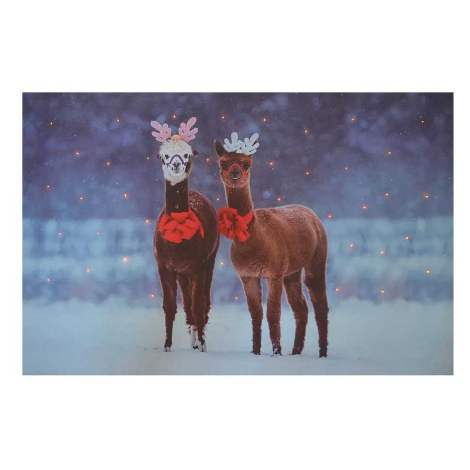 CANVAS 16″X12″ 40 FIBERS 2 LLAMA W/TIMER