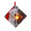 CANVAS 5″X5″ 1 LED W/ PUPPY W/ SANTA HAT