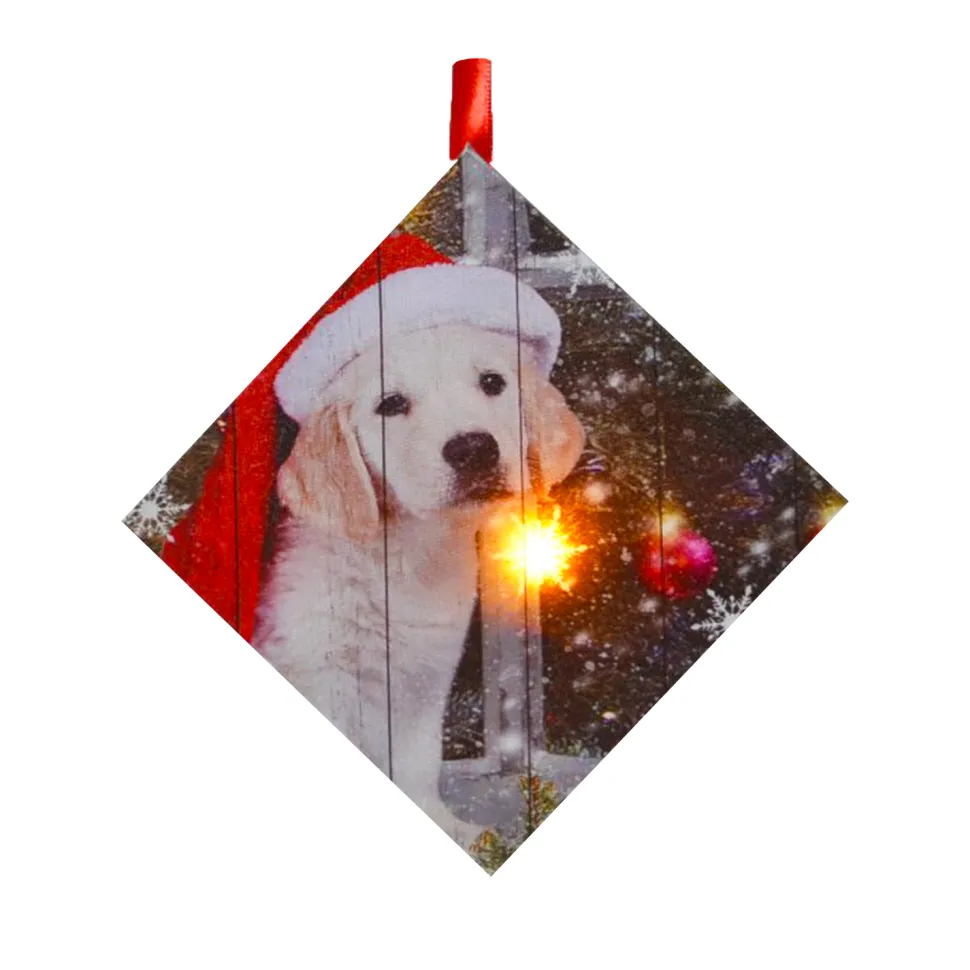 CANVAS 5″X5″ 1 LED W/ PUPPY W/ SANTA HAT
