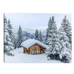 CANVAS 16″x12″ LIGHT UP CHALET 30PCS LED FIBERS+6/18TIMER