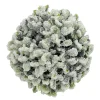 HANGING BALL BOXWOOD 5.5″ FROSTED