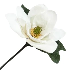 MAGNOLIA HEAD WHITE 15″ W/ STEM