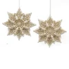 ORN CHAMPAGNESNOWFLAKE 5″ W/ SILVER GLITTER 2 ASSTD.