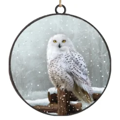 ORN METAL DISC 4″ WINTER OWL ON FENCE