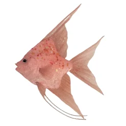 ORN SEA POLY FOAM FISH 7″ X9.5″ CORAL W/ GLITTER & SEQUINS