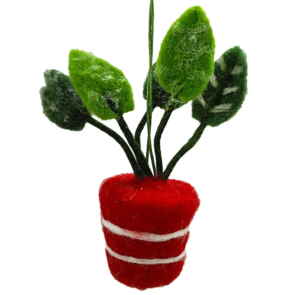 ORN WOOL PLANT IN A POT 5″ RED/GREEN