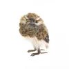 OWL BROWN/GRAY 6″ LEOPARD PRINT STANDING