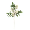 PICK BERRY 13.5″ CREAM W/ LEAVES