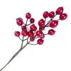 PICK BERRY 11″ RED