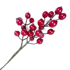 PICK BERRY 11″ RED