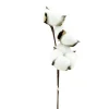 PICK COTTON POD 13.5″ 3 HEAD WHITE