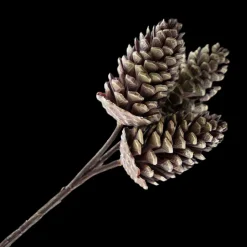 PICK PINE CONE 12″ NATURAL 3 CONES