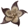 POINSETTIA HEAD BROWN 7.5″ VELVET W/ GLTR. & CLIP