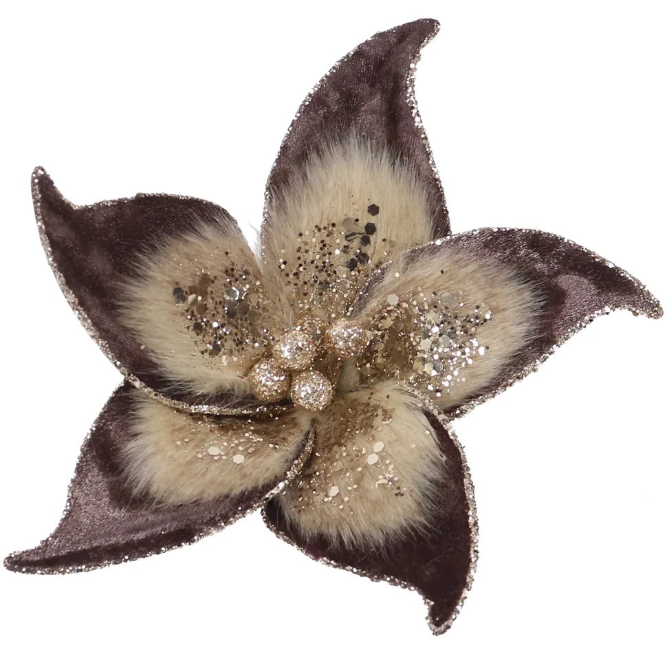 POINSETTIA HEAD BROWN 7.5″ VELVET W/ GLTR. & CLIP