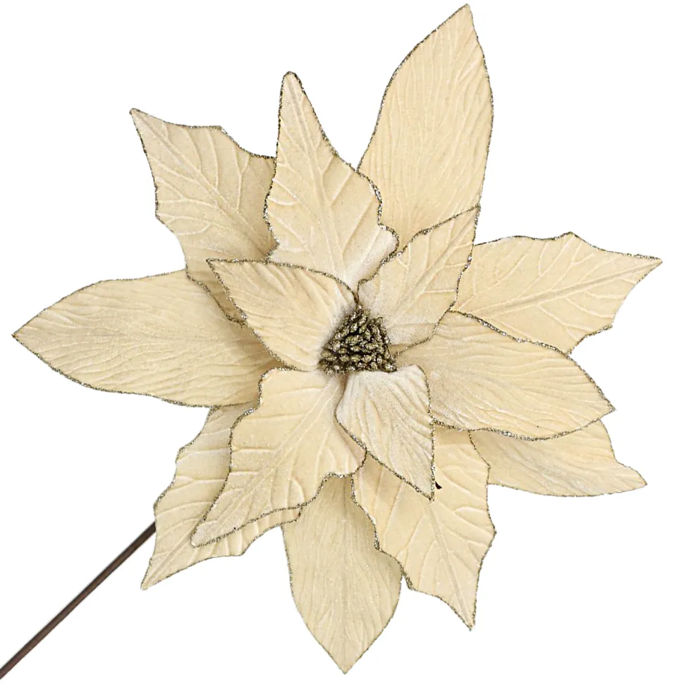 POINSETTIA STEM CHAMPAGNE 18″ HEAD VELVET W/ 24″ STEM
