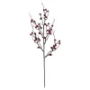 SPRAY BERRY 30″ RED
