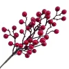 SPRAY BERRY 16″ SHINY RED
