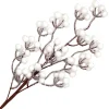 SPRAY BERRY 27.5″ WHITE CLUSTER/ FROSTED