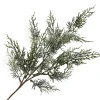 SPRAY CEDAR FROSTED 22″