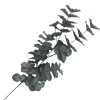 SPRAY EUCALYPTUS 37″ GREEN