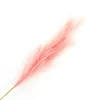SPRAY PAMPAS GRASS 43″ BABY PINK