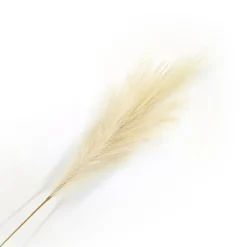 SPRAY PAMPAS GRASS 43″ IVORY
