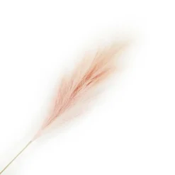 SPRAY PAMPAS GRASS 43″ ROSE