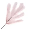 SPRAY PAMPAS GRASS 42.5″ ROSE
