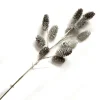 SPRAY PINE CONE 18″ NATURAL WHITE WASHED W/ GLITTER