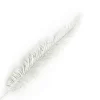 STEM FERN LEAF 22.5″ GLITTER WHITE