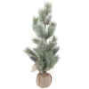 TREE FROSTED NEEDLE PINE 25″ W/ PINE CONES & BURLAP BASE