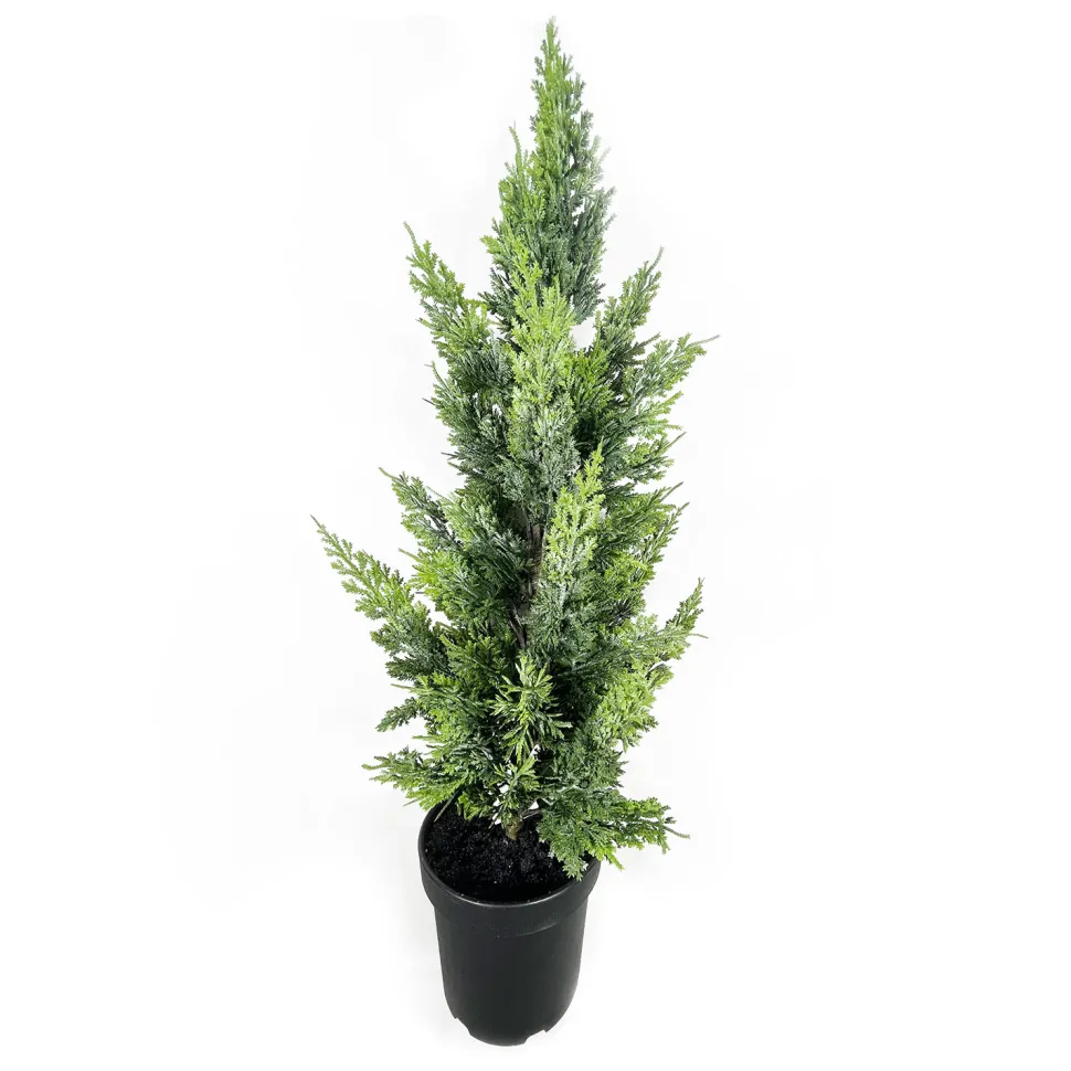TREE NAT. CEDAR 38″ W/ BLACK POT