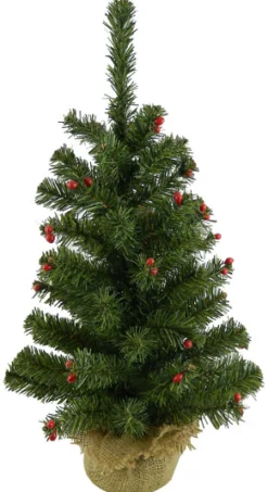 TREE NAT. PINE 24″ /67T CDN PINE W/RED BERRY W/ BURLAP BASE 2