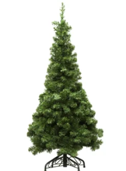 TREE NOBLE PENCIL PINE 4’/480T
